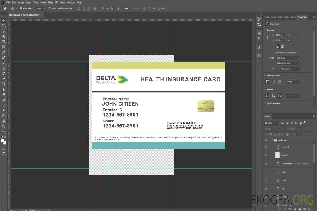 Carte d'assurance maladie de Jordanie template